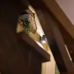 Casa De Al Lado En